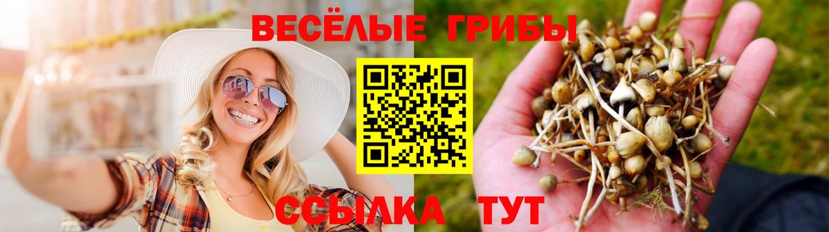 Псилоцибиновые грибы Psilocybe  Псилоцибиновые грибы Magic Shrooms  Вход с VPN  Приморско-Ахтарск 