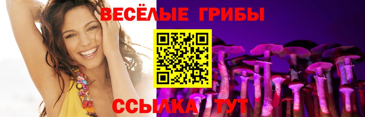 Галлюциногенные грибы прущие грибы Приморско-Ахтарск